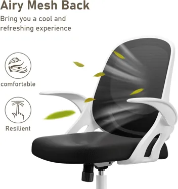 Silybon Ergonomic Swivel Mesh Home Office Chair