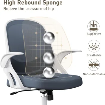 Silybon Ergonomic Swivel Mesh Home Office Chair