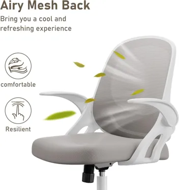 Silybon Ergonomic Swivel Mesh Home Office Chair