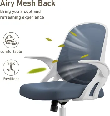 Silybon Ergonomic Swivel Mesh Home Office Chair