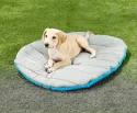 Chuckit! Travel Pillow Dog Bed