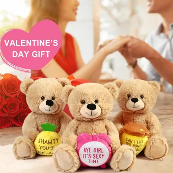 Valentines Day Teddy Bear