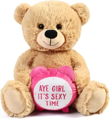 Valentines Day Teddy Bear