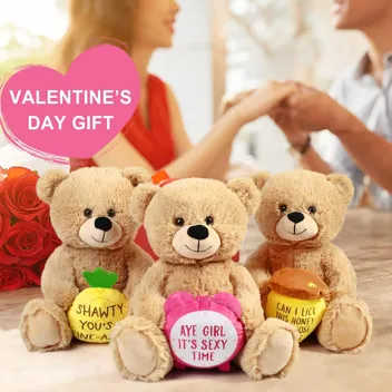 Valentines Day Teddy Bear