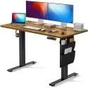 48" x 28" Electric Standing Desk w/ Storage Bag