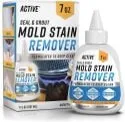 Active 7oz Seal & Groupt Mold Stain Remover Gel