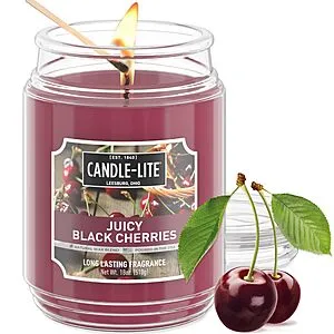 Scented Juicy Black Cherries Fragrance, One 18 oz. Single-Wick Aromatherapy Candle with 110 Hours of Burn Time, Dark Red Color