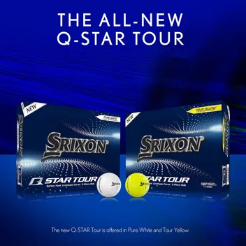 Q-Star Series 12-Count Golf Balls