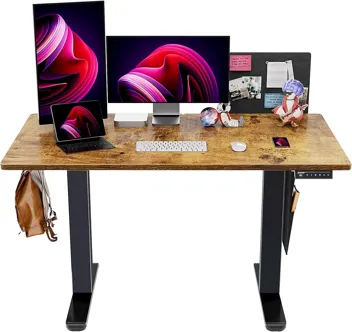 ErGear 48" x 24" Adjustable Height Electric Standing Desk w/ Storage Bag