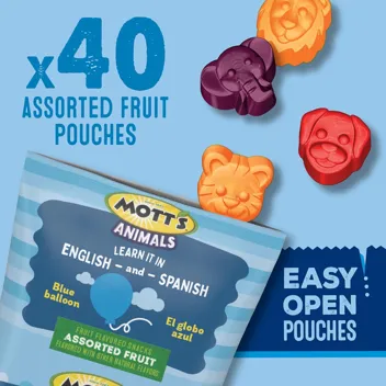 Assorted Fruit Fruit Snacks Pouches (40-Count)