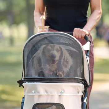 Pet Products Stroller