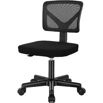 AFO Ergonomic Adjustable Armless Computer Chair w/ Lumbar Support