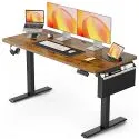 55"x24" Electric Standing Desk w/ Storage Pocket