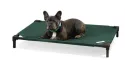 Pro Elevated Dog Bed (Medium)