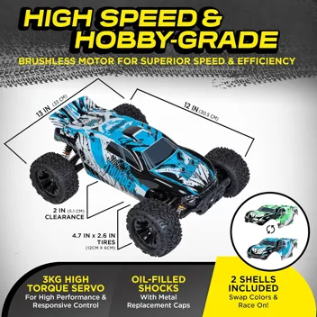 LAEGENDARY 1:10 Scale 4x4 Off-Road RC Truck