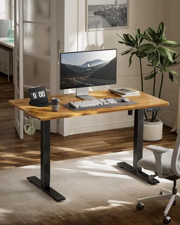 Marsail 48 * 24 Inch Electric Standing Desk