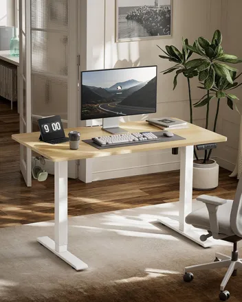 Marsail 48 * 24 Inch Electric Standing Desk