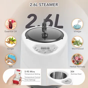 Portable Steam Sauna Tent Set with 2.6L 1000W Steamer, Folding Chair