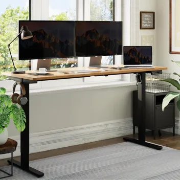 Shintenchi 63" x 24" Electric Height Adjustable Standing Desk