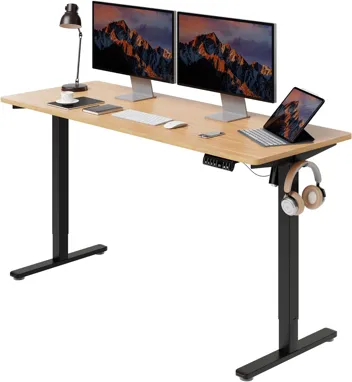 Shintenchi 63" x 24" Electric Height Adjustable Standing Desk