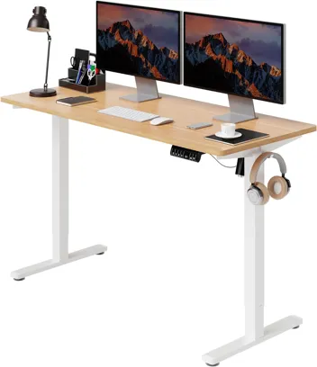 Shintenchi 63" x 24" Electric Height Adjustable Standing Desk