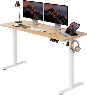 Shintenchi 63" x 24" Electric Height Adjustable Standing Desk