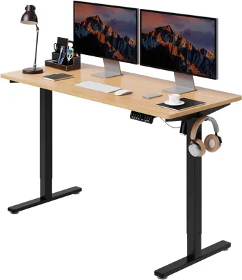 Shintenchi 63" x 24" Electric Height Adjustable Standing Desk