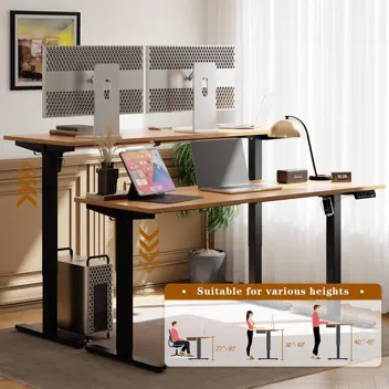 Shintenchi 63" x 24" Electric Height Adjustable Standing Desk