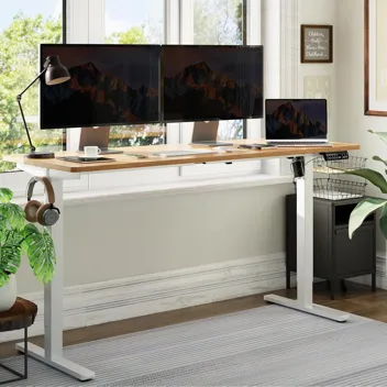 Shintenchi 63" x 24" Electric Height Adjustable Standing Desk