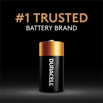 Coppertop D Batteries (10-Count)