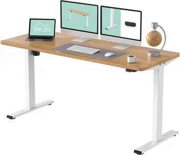 Flexispot 48 x 30" Height Adjustable Standing Desk