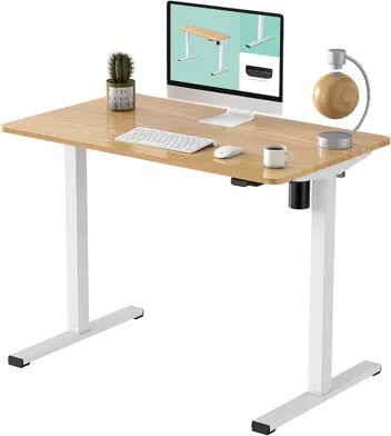 Flexispot 48 x 30" Height Adjustable Standing Desk