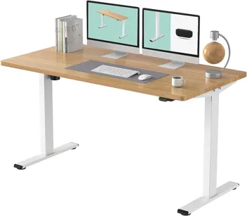 Flexispot 48 x 30" Height Adjustable Standing Desk