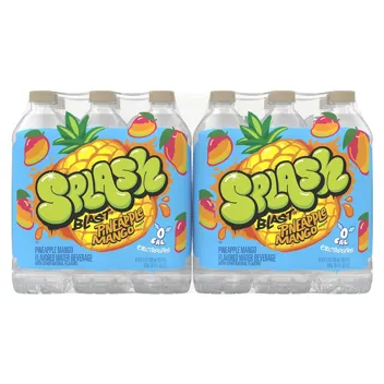 16-Oz Splash Blast Flavored Water Beverage (Acai Grape)