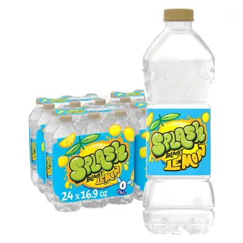 16-Oz Splash Blast Flavored Water Beverage (Acai Grape)