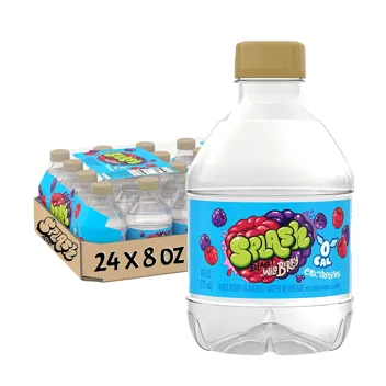 16-Oz Splash Blast Flavored Water Beverage (Acai Grape)