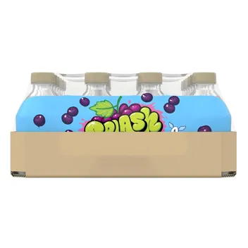 16-Oz Splash Blast Flavored Water Beverage (Acai Grape)