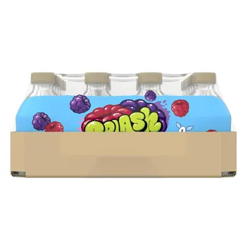 16-Oz Splash Blast Flavored Water Beverage (Acai Grape)