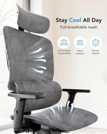 Huanuo Ergonomic Lumbar Support High Back Mesh Office Chair