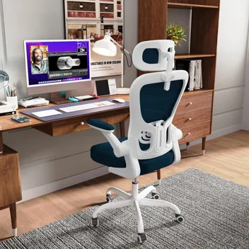 Eesdom Mesh & High Back Ergonomic Lumbar Support Office Chair with Head Rest