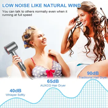 Auxco 1600W Brushless Motor Ionic Hair Dryer