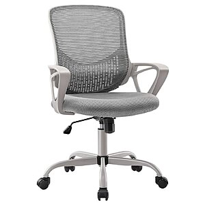 Amazon has Ergonomic Office Chair