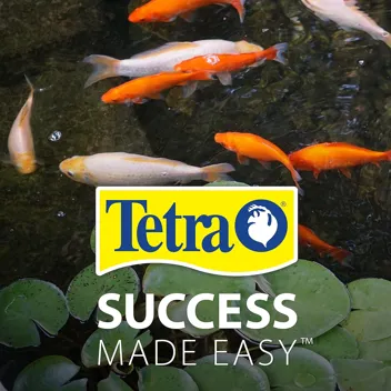 Tetra Pond Flakes Complete Nutrition for Smaller Pond Fish