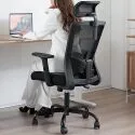 Soukiya Mesh Back Lumbar Support Ergonomic Office Chair