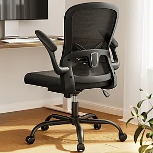 Ergonomic Office Desk Chair w/ Adjustable Lumbar Support (Black)