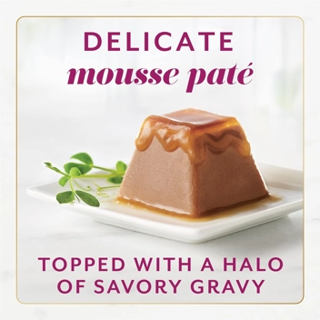 Fancy Feast Salmon Mousse Gravy Cat Food (8) 4 oz Boxes (Clip 50 percent off coupon)