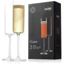 Champagne Flutes Crystal Champagne Glasses (Set of 2)