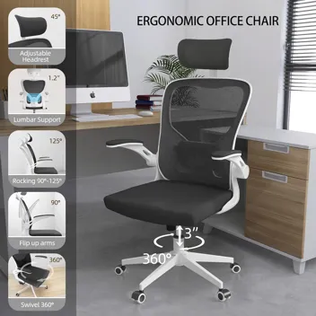 Monhey Ergonomic Mesh Back Lumbar Support Office Chair with Headrest